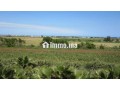 Terrain a vendre sur r. azemmour - miniature 3