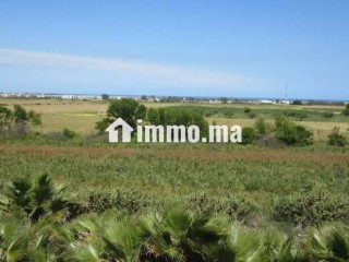 Terrain a vendre sur r. azemmour - Terrain à vendre - Casablanca
