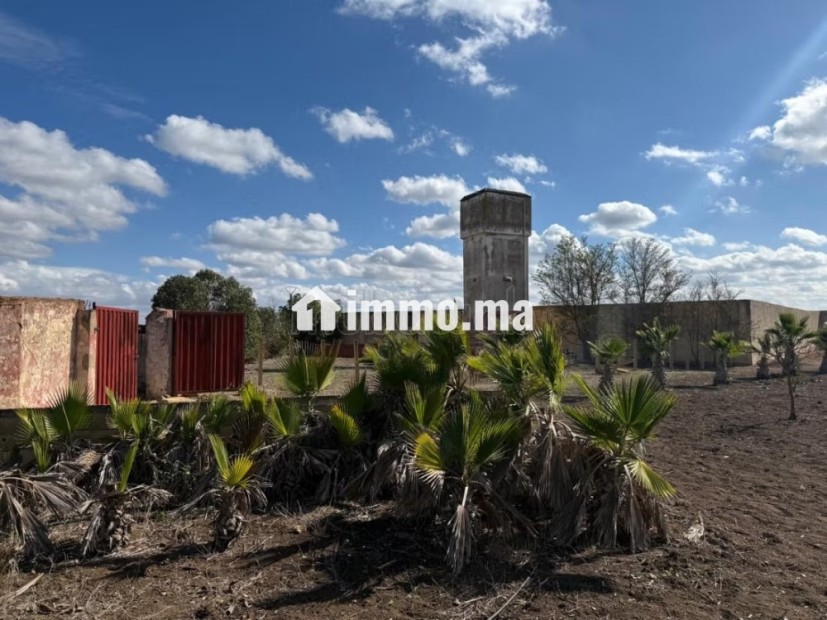 Ferme agricole exceptionnelle à Benslimane - Vente Immobilier - Autre - photo 4