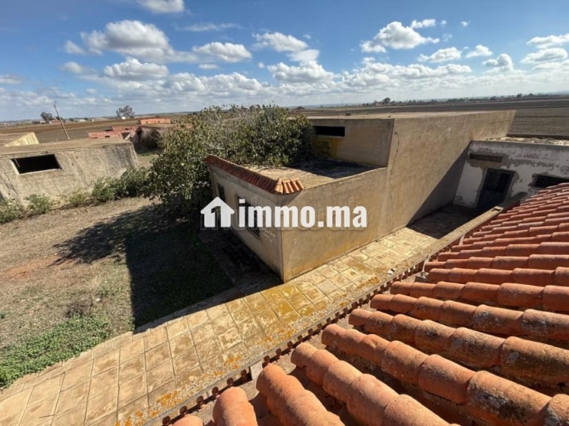 Ferme agricole exceptionnelle à Benslimane - Vente Immobilier - Autre - photo 7