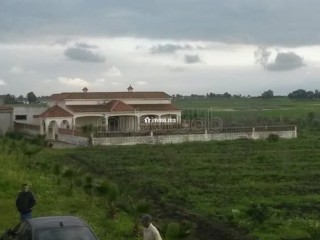 Ferme agricole exceptionnelle à Benslimane - Terrain à vendre - Autre
