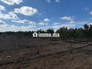 Ferme agricole exceptionnelle à Benslimane - Terrain à vendre - Autre