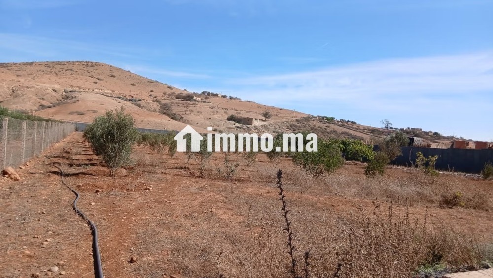 Projet immobilier - Vente Immobilier - Berkane - photo 7