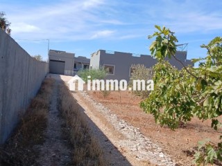 Projet immobilier - Appartement à vendre - Berkane