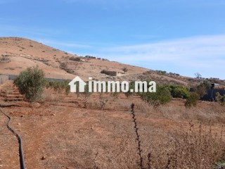 Projet immobilier - Appartement à vendre - Berkane