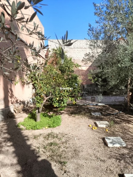 À Vendre Villa au Cœur de Guéliz - Vente Immobilier - Marrakech - photo 6