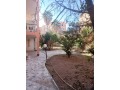 a-vendre-villa-au-coeur-de-gueliz-small-2
