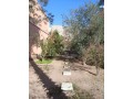 a-vendre-villa-au-coeur-de-gueliz-small-4