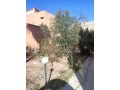 a-vendre-villa-au-coeur-de-gueliz-small-7
