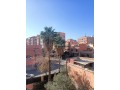 a-vendre-villa-au-coeur-de-gueliz-small-8