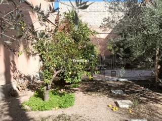 À Vendre Villa au Cœur de Guéliz - Villa à vendre - Marrakech