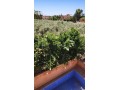 En vente une superbe villa de maître à Targa - miniature 2