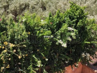 En vente une superbe villa de maître à Targa - Villa à vendre - Marrakech