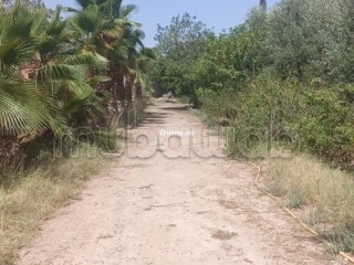 En vente Villa de prestige style arabo marocain – VNA– - Villa à vendre - Marrakech