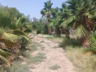 En vente Villa de prestige style arabo marocain – VNA– - Villa à vendre - Marrakech