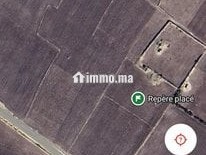 Terrain agricole titré 13 khaddams .Od hamdane. - Terrain à vendre - El Jadida
