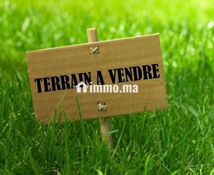 Terrain titré à vendre - Vente Immobilier - Tiznit - photo 1