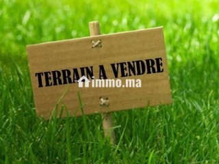 Terrain titré à vendre - Terrain à vendre - Tiznit