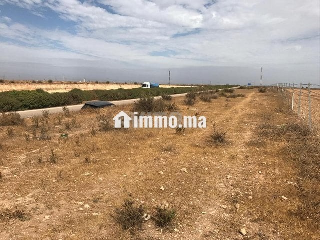 Deux terrains agricoles mitoyens 3,5 hectares - Vente Immobilier - Settat - photo 4
