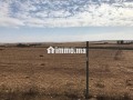 Deux terrains agricoles mitoyens 3,5 hectares - miniature 2