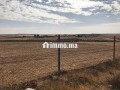 Deux terrains agricoles mitoyens 3,5 hectares - miniature 3