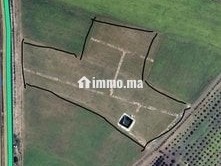 Deux terrains agricoles mitoyens 3,5 hectares - Terrain à vendre - Settat
