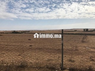 Deux terrains agricoles mitoyens 3,5 hectares - Terrain à vendre - Settat