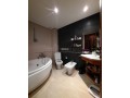 location-dappartement-vide-a-racine-169m2-small-8