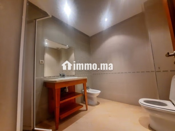 location-dappartement-vide-a-racine-169m2-big-5