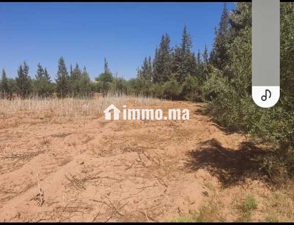 Ferme à vendre à Chouiter, Marrakech – 22 300 m² - Vente Immobilier - Marrakech - photo 3