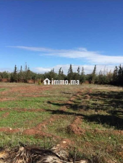 Ferme à vendre à Chouiter, Marrakech – 22 300 m² - Vente Immobilier - Marrakech - photo 5