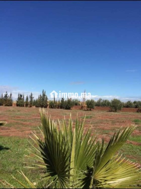Ferme à vendre à Chouiter, Marrakech – 22 300 m² - Vente Immobilier - Marrakech - photo 6
