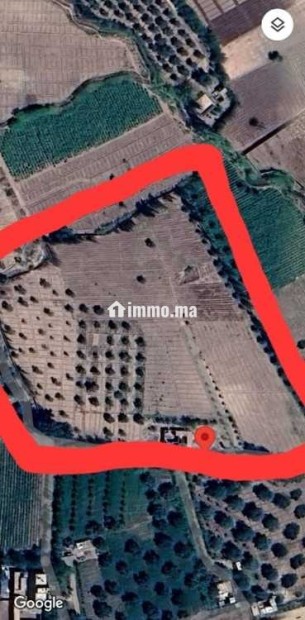 Ferme à vendre à Chouiter, Marrakech – 22 300 m² - Vente Immobilier - Marrakech - photo 7