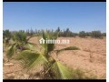 Ferme à vendre à Chouiter, Marrakech – 22 300 m² - miniature 4