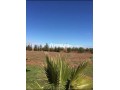 Ferme à vendre à Chouiter, Marrakech – 22 300 m² - miniature 6