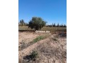Ferme à vendre à Chouiter, Marrakech – 22 300 m² - miniature 8