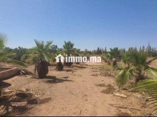 Ferme à vendre à Chouiter, Marrakech – 22 300 m² - Terrain à vendre - Marrakech