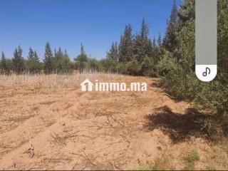 Ferme à vendre à Chouiter, Marrakech – 22 300 m² - Terrain à vendre - Marrakech