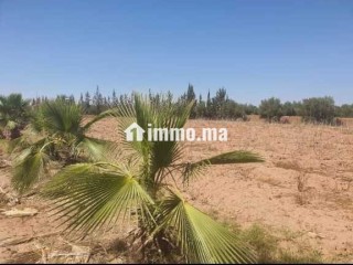 Ferme à vendre à Chouiter, Marrakech – 22 300 m² - Terrain à vendre - Marrakech