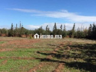 Ferme à vendre à Chouiter, Marrakech – 22 300 m² - Terrain à vendre - Marrakech
