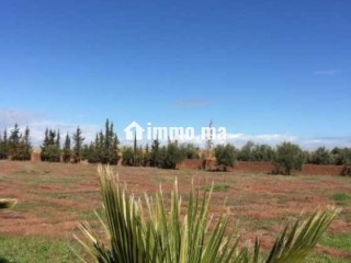 Ferme à vendre à Chouiter, Marrakech – 22 300 m² - Terrain à vendre - Marrakech