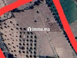 Ferme à vendre à Chouiter, Marrakech – 22 300 m² - Terrain à vendre - Marrakech