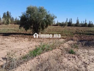 Ferme à vendre à Chouiter, Marrakech – 22 300 m² - Terrain à vendre - Marrakech