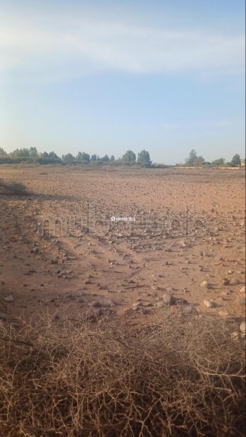 Vente de terrain à Tameslohte.
Surface totale 10000 m² - Vente Immobilier - Autre - photo 1