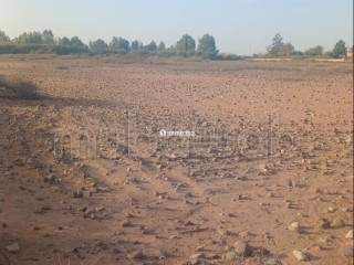 Vente de terrain à Tameslohte.
Surface totale 10000 m² - Terrain à vendre - Autre