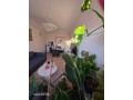 Très joli appartement moderne - miniature 2