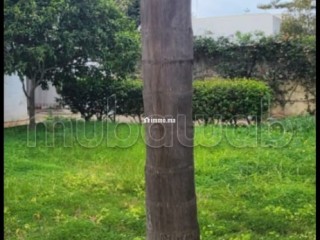 Villa 1700m Souisi proche - Villa à vendre - Rabat