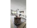Luxeux Appartement en location Vide - miniature 2
