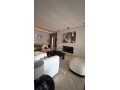 Luxeux Appartement en location Vide - miniature 6
