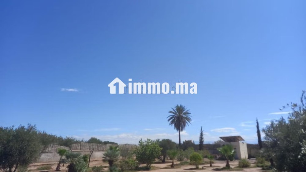 Villa à Vendre 7000 m² kms 20 Route de Fès Marrakech - Vente Immobilier - Marrakech - photo 6